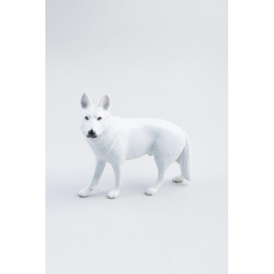 Weißer Schäferhund